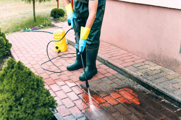 Best Dumpster Area Cleaning  in North Browning, MT